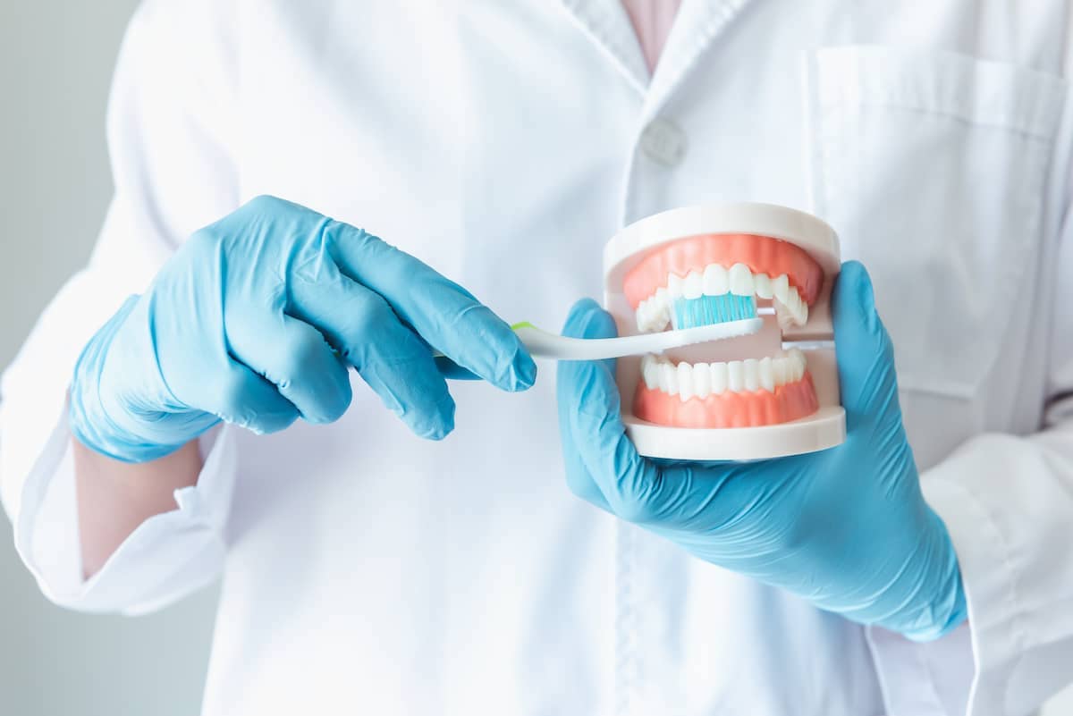 Zahnarzt putzt einen künstlichen Zahnersatz mit einer Zahnbürste
