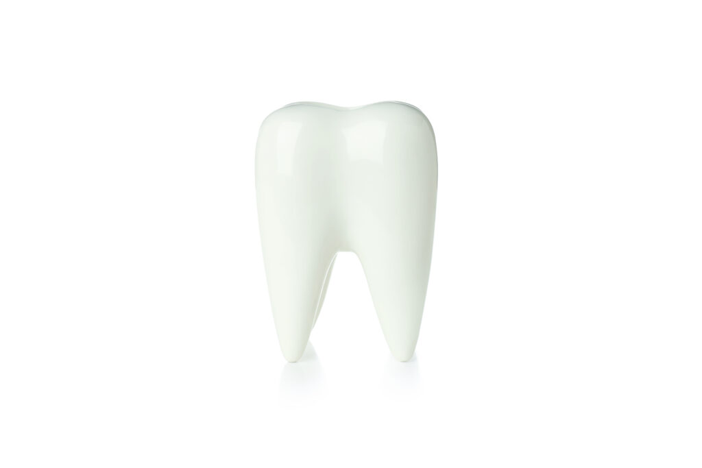 Une seule dent sur fond blanc