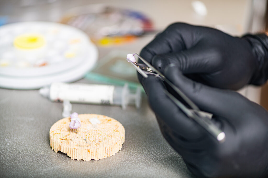 Dental Technician Preparing Ceramic Tooth Crown. Prosthetic Dentistry.