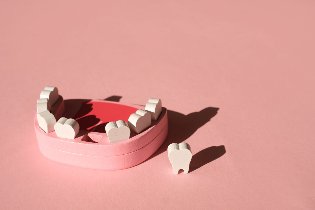 Racine dent et dent de lait sur fond rose