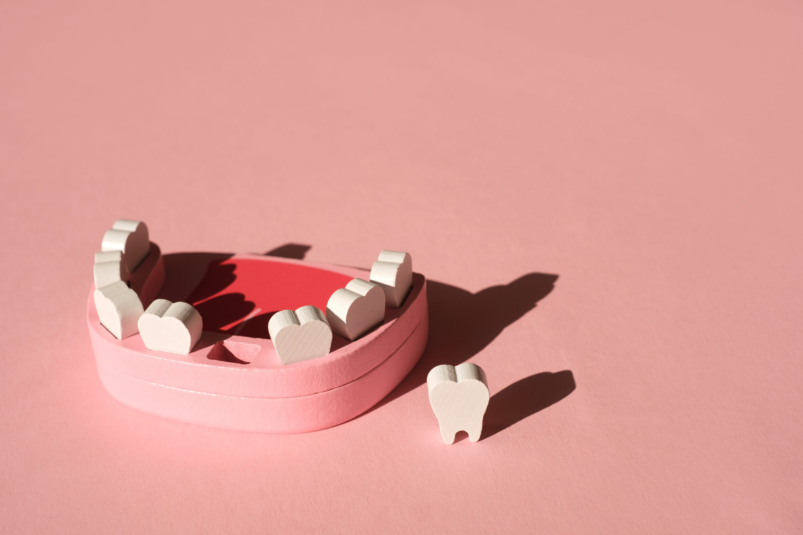Artificial model of root teeth and milk teeth on a pink background
