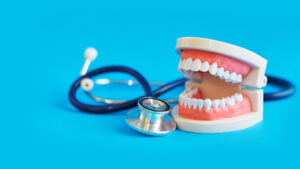 White teeth model and stethoscope on blue background; tooth organ relationship